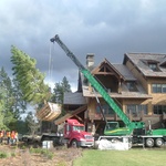 Residential - mature fir tree