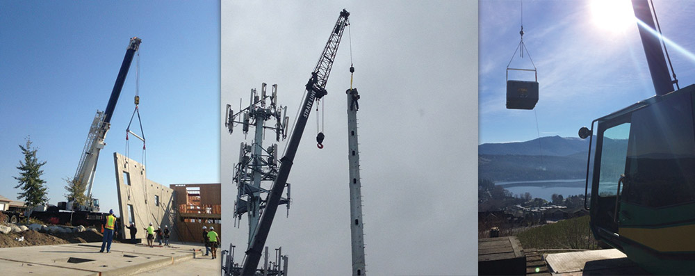 look, we've got peoples