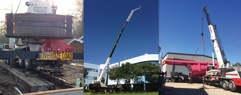 look, we've got peoples