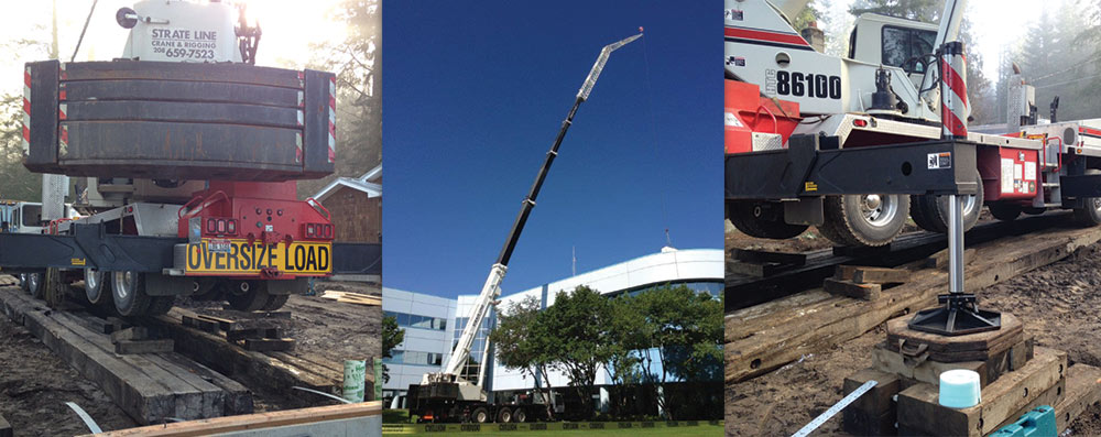 look, we've got peoples