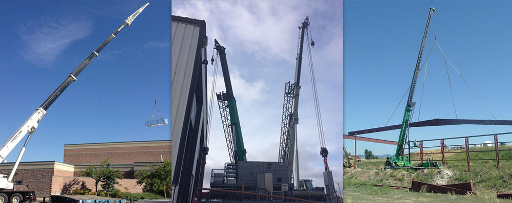 look, we've got peoples